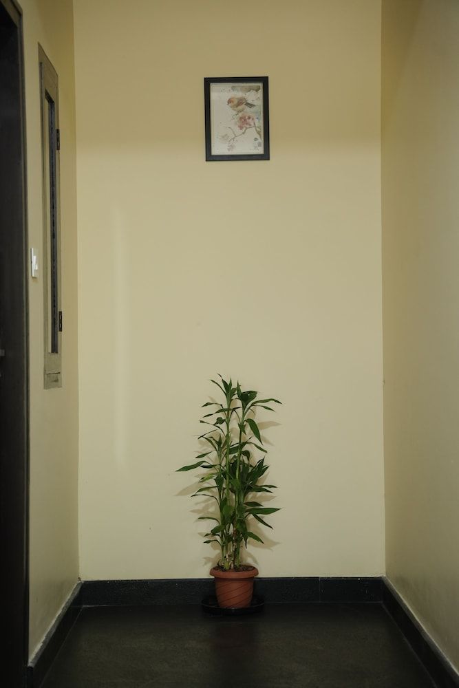Goldsuite 1