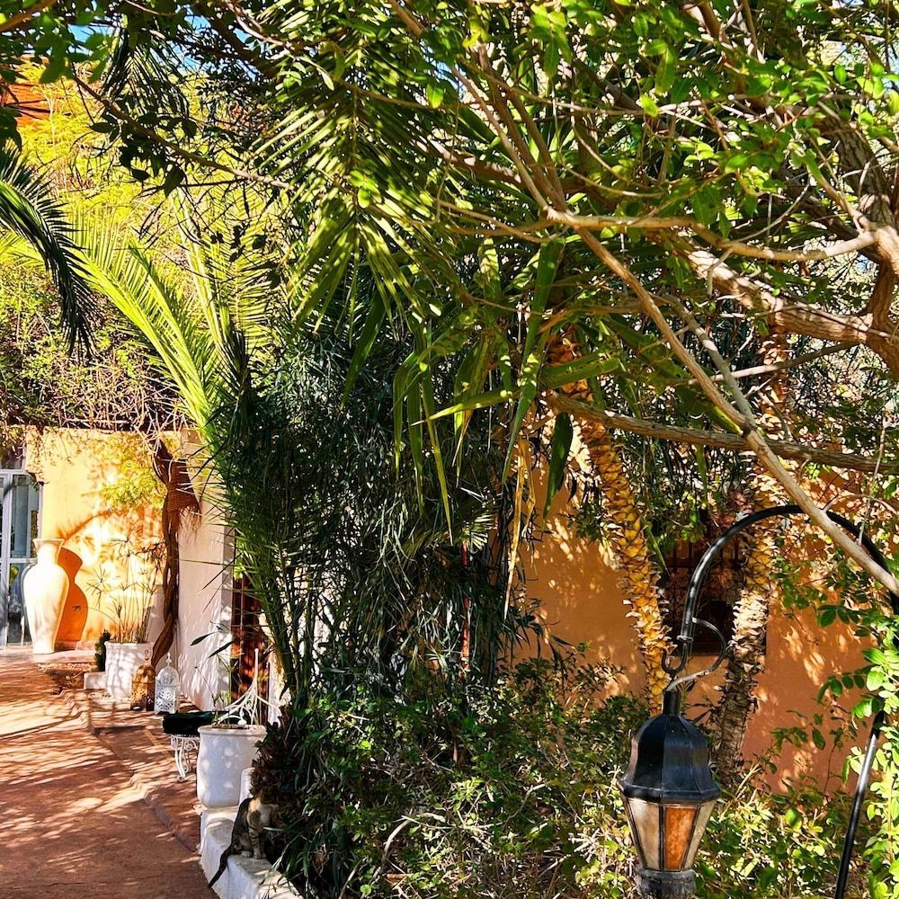 Les Jardins D'Issil Maison d'Hôtes 2