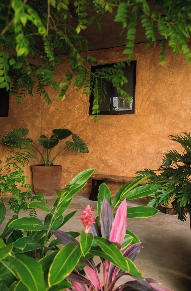 Casa Marisa 2