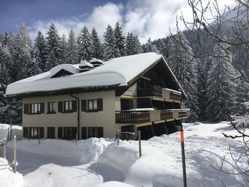 Davos Laret, Ginseng Nr 12 1