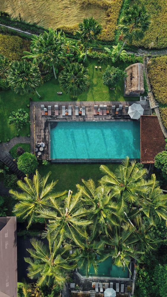 The Artini Dijiwa Ubud 1