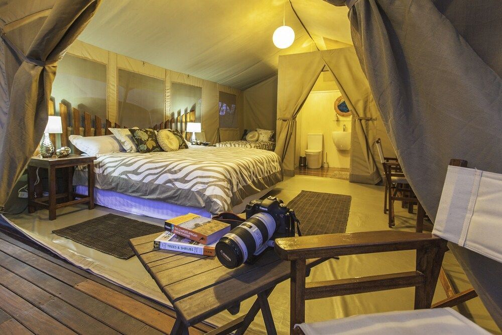 Wildebeest Eco Camp 2