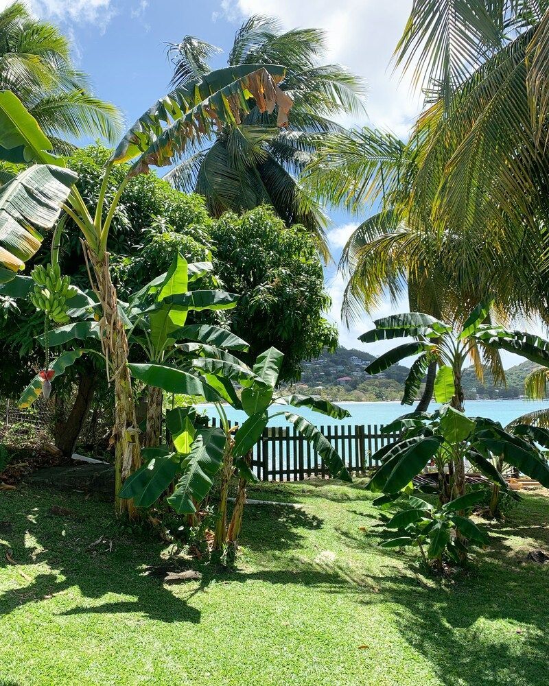 Hideaway Apartments Grenada 1