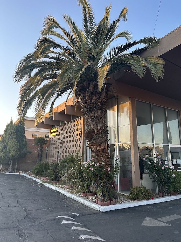 ROYAL MOTEL TRACY 2
