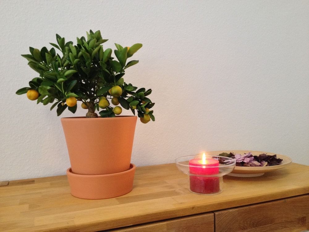Apartmenthaus Feuerbach 2
