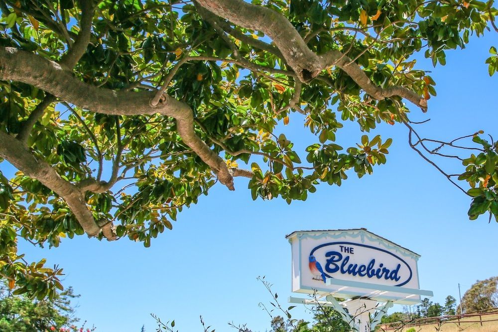 Bluebird Inn 1