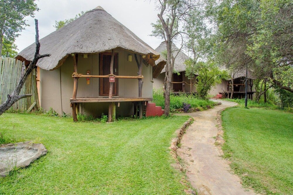 Warthogs Bush Lodge 1