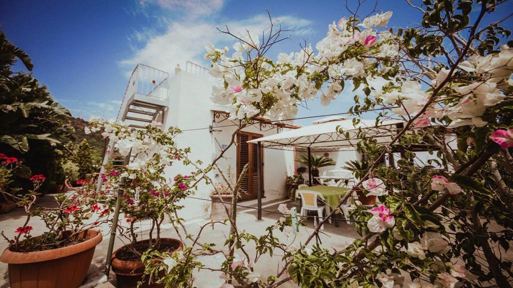Casa Papiro 2