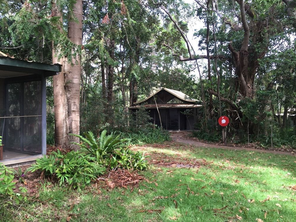 Byron Bay Rainforest Resort 2