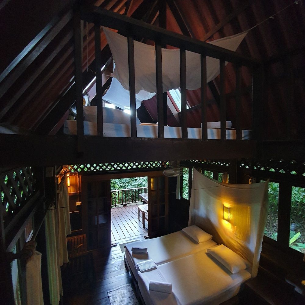 Our Jungle House 2