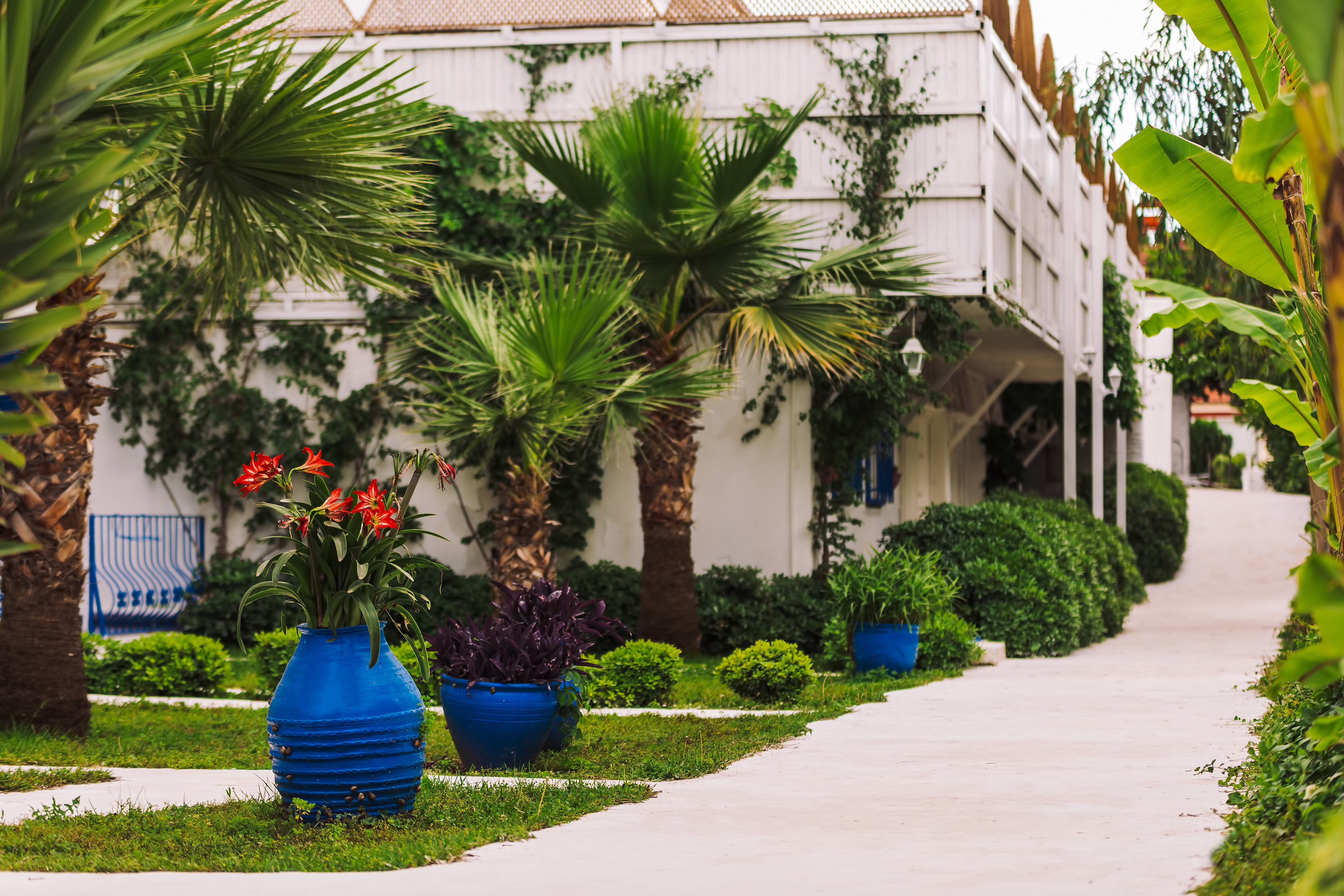 Monta Verde Hotel & Villas 1