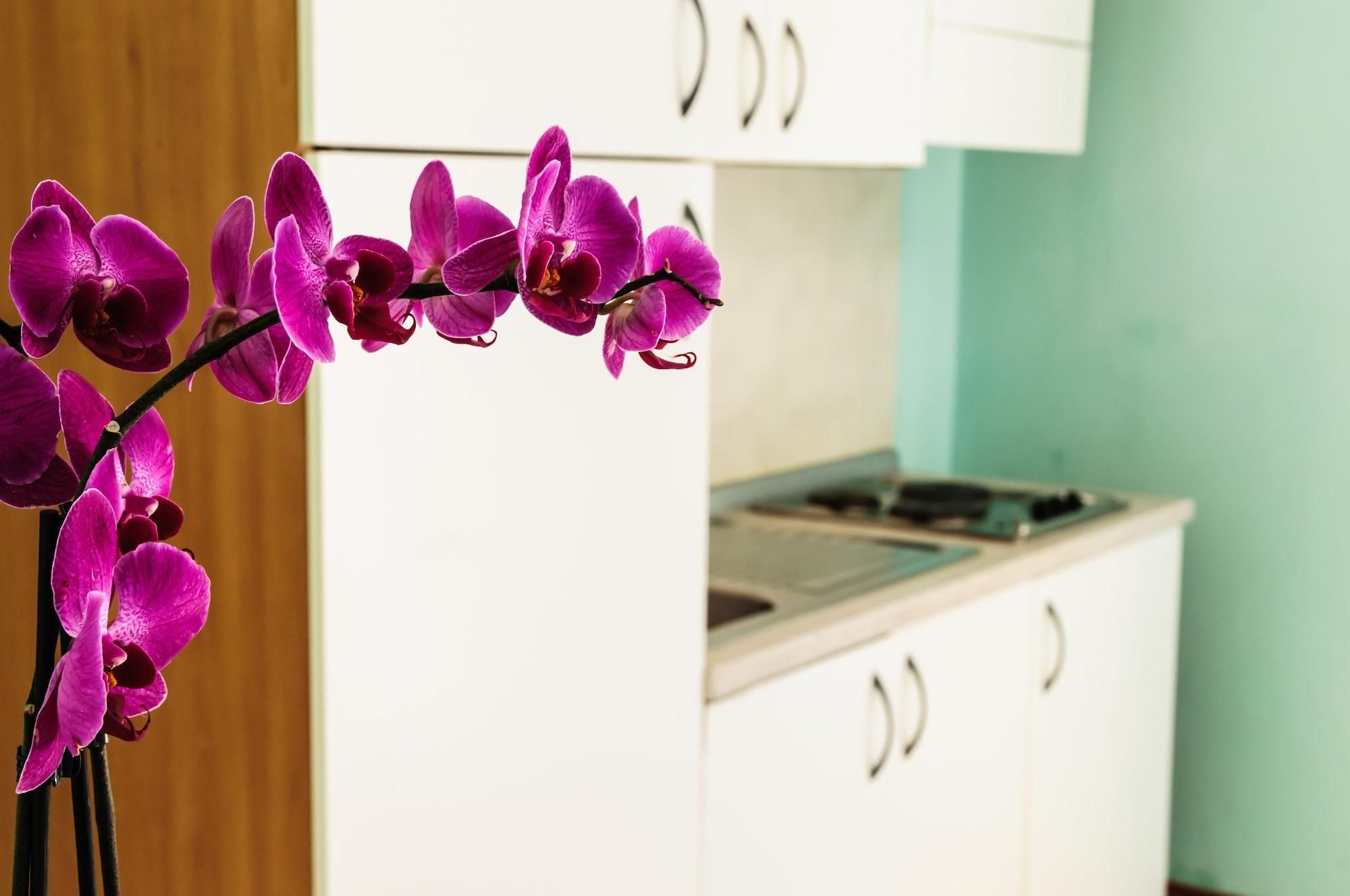 Residence Cima 1