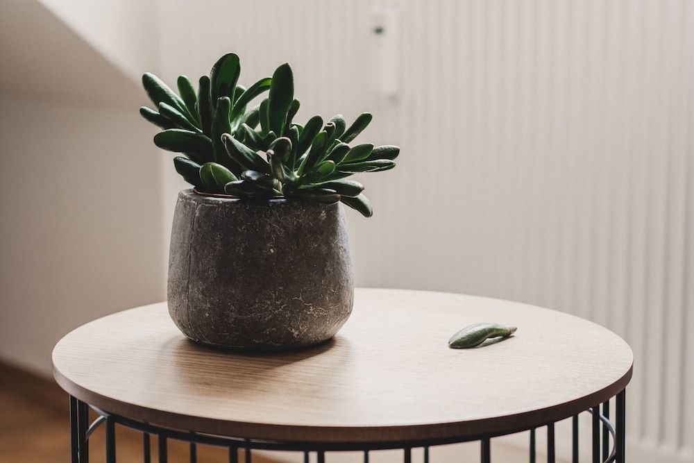 The Hygge Lisbon Suites - Estrela 2