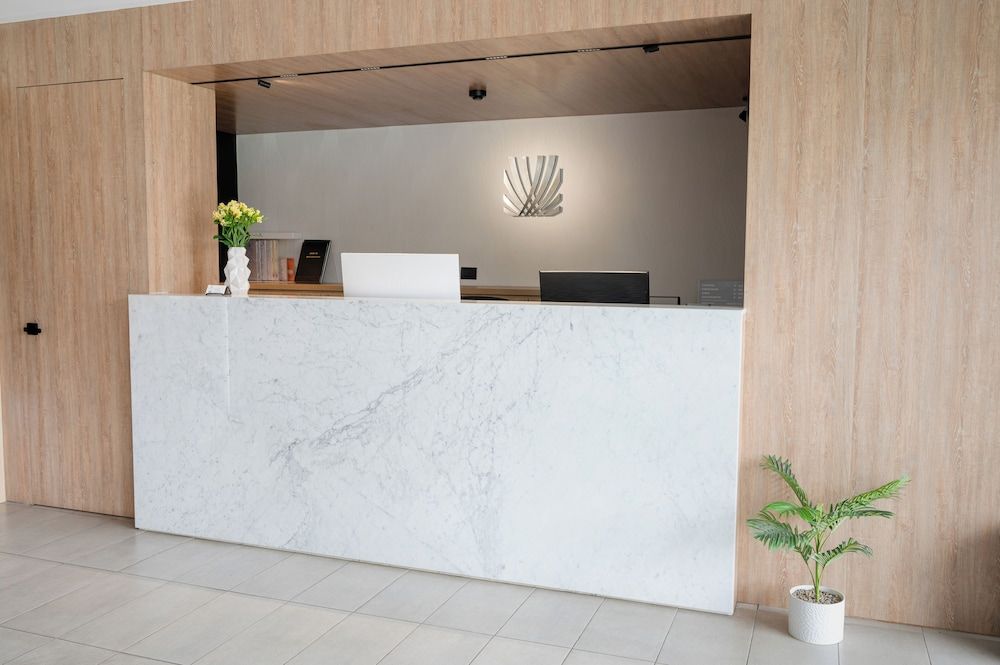 Palmetto Hotel Business San Miguel 2