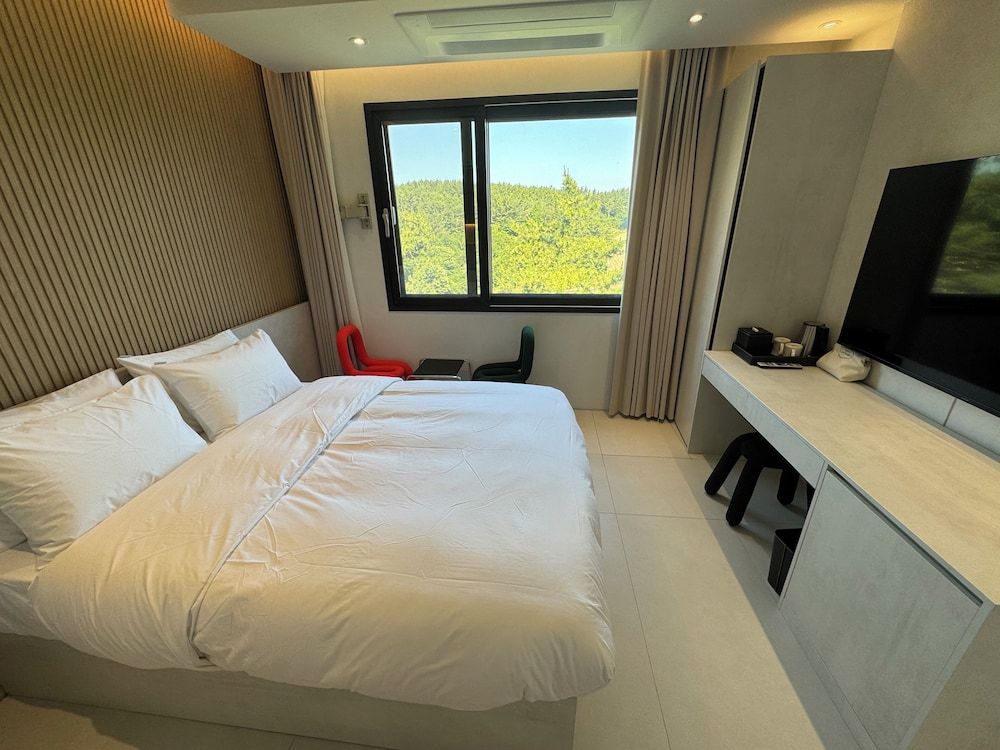HOTEL CASHMIR 1