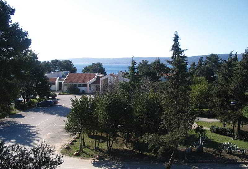 Perkovic Ana 1