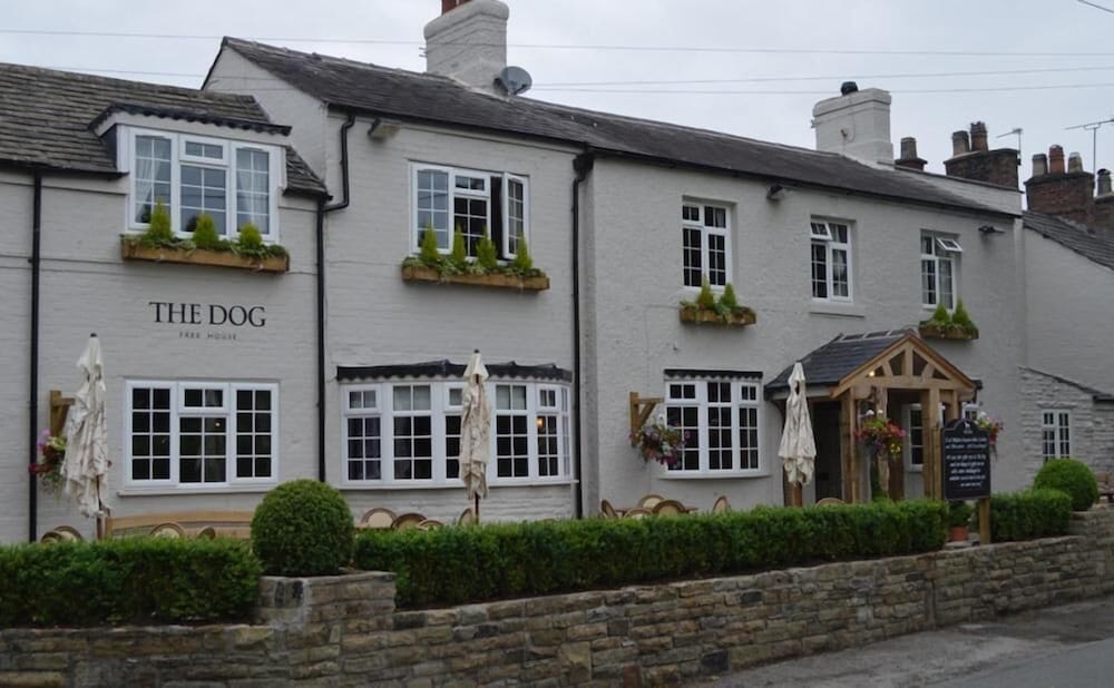 The Dog in Over Peover 1
