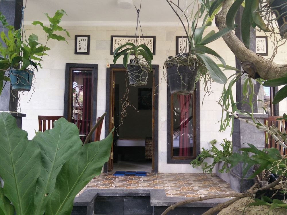 Double N Guesthouse 1