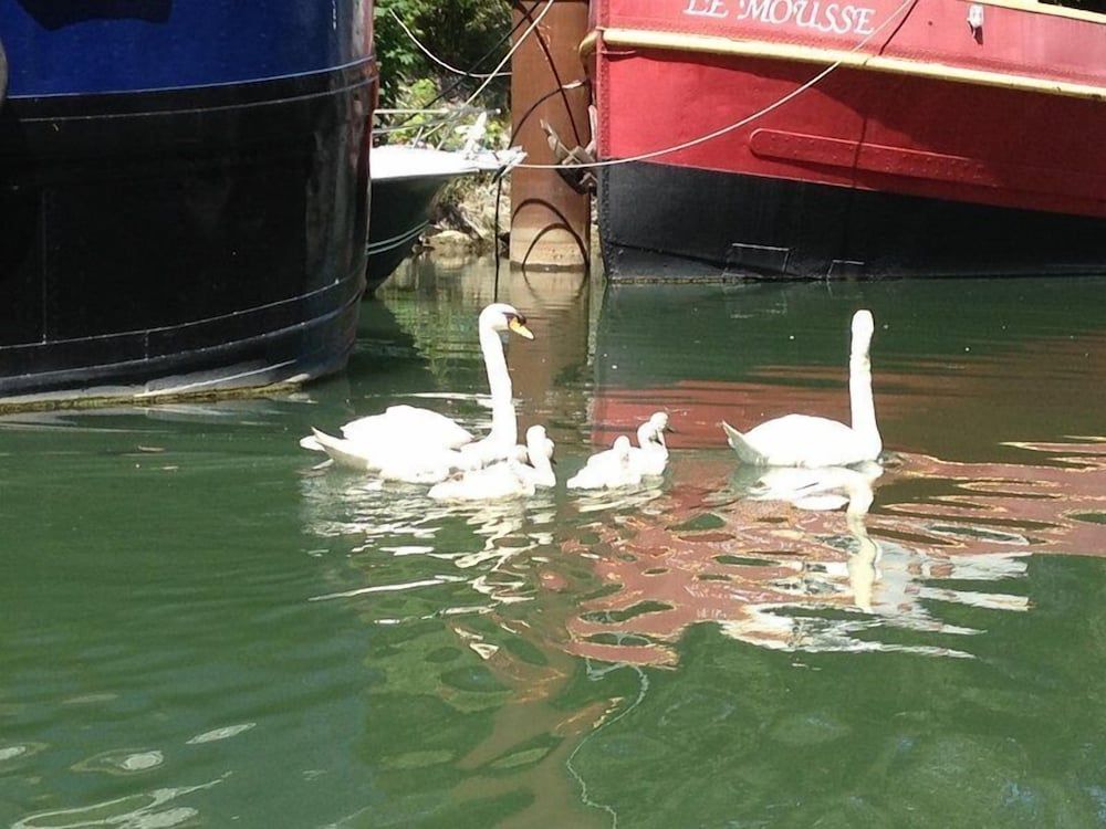 Boat For Guest 2