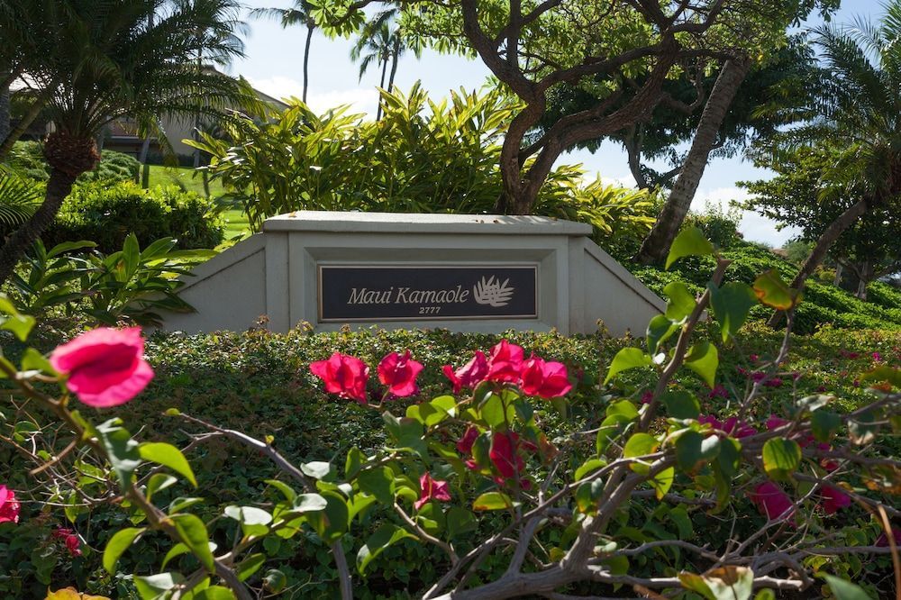 Maui Kamaole 1