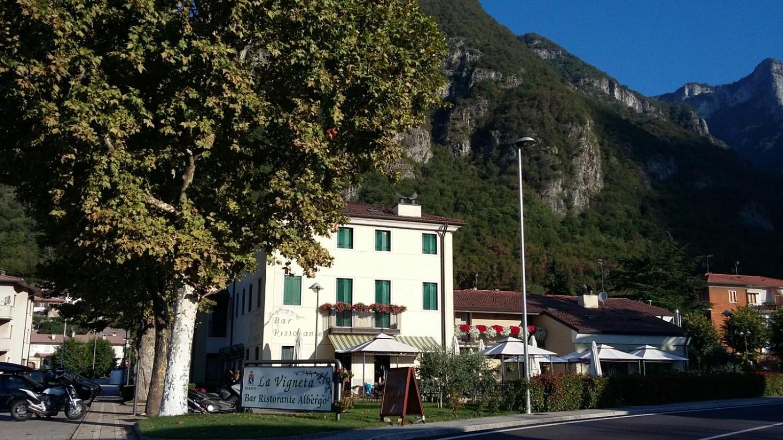 La Vigneta 1