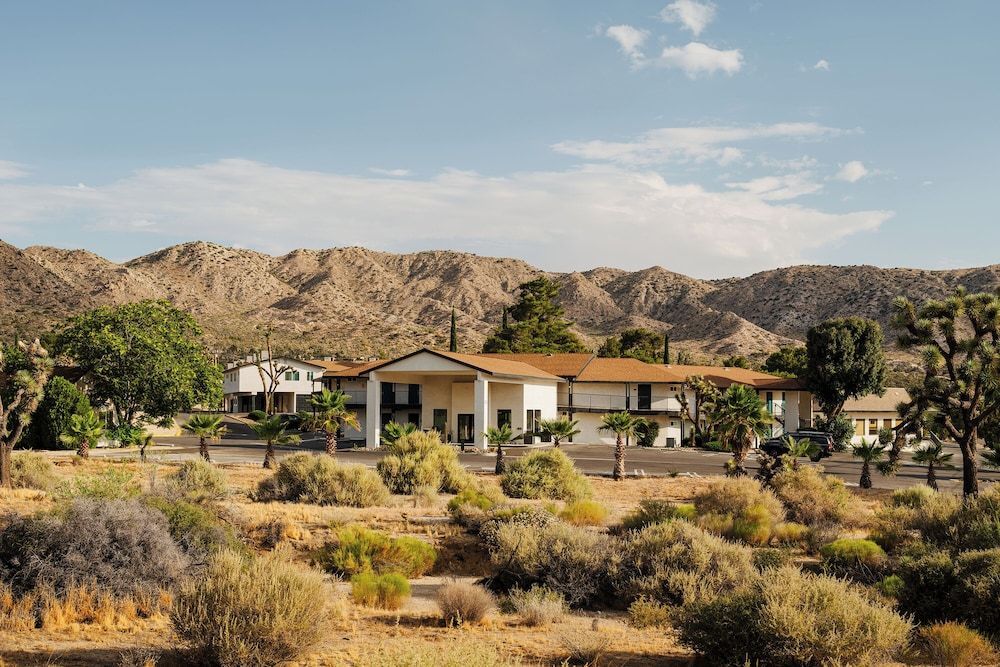 Field Station Joshua Tree 1