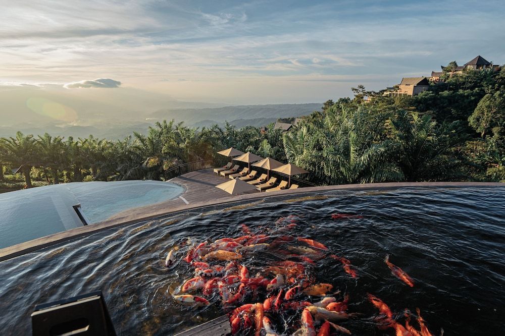 Elevate Bali 2