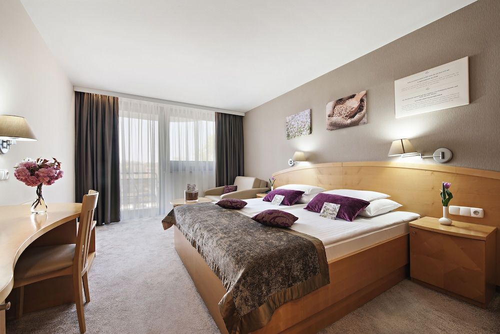 Hotel Ajda - Terme 3000 - Sava Hotels & Resorts 1