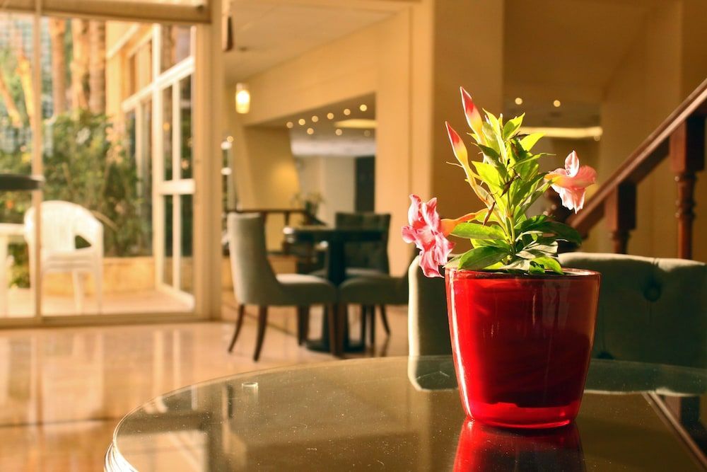 Cosmopolitan Hotel 1