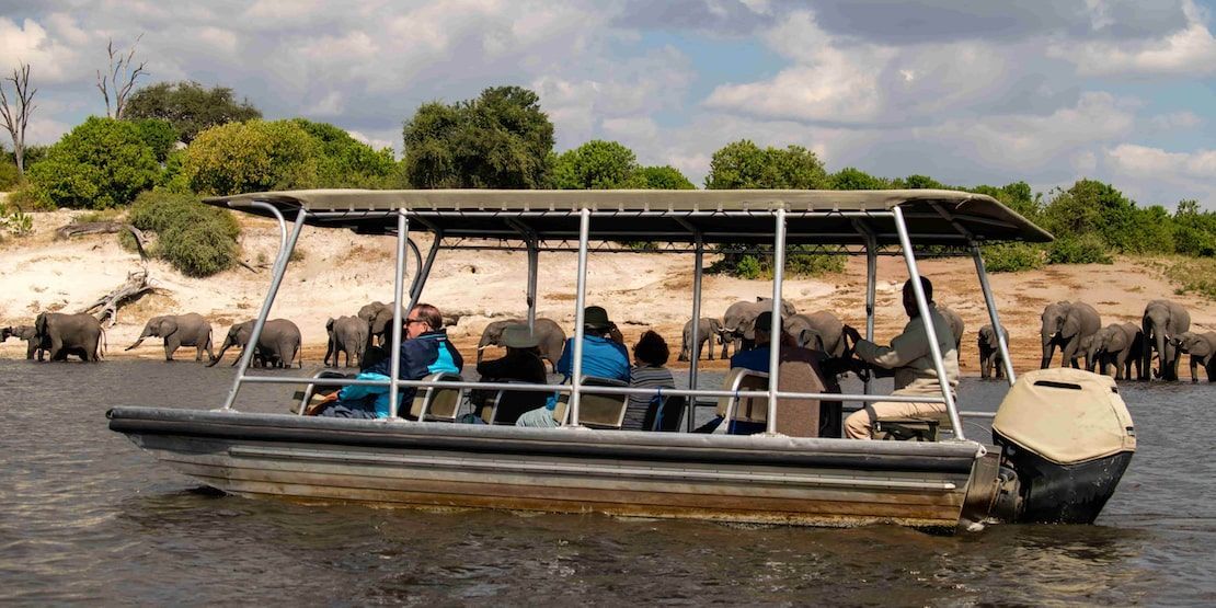 Zambezi Queen By Mantis 1