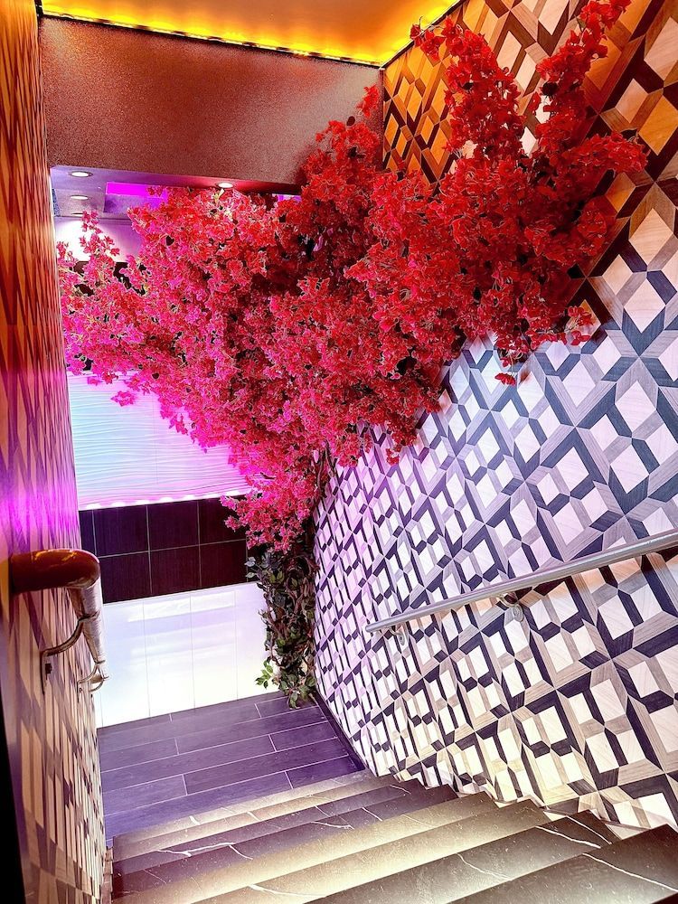 Umbrella Hotel Bronx 2