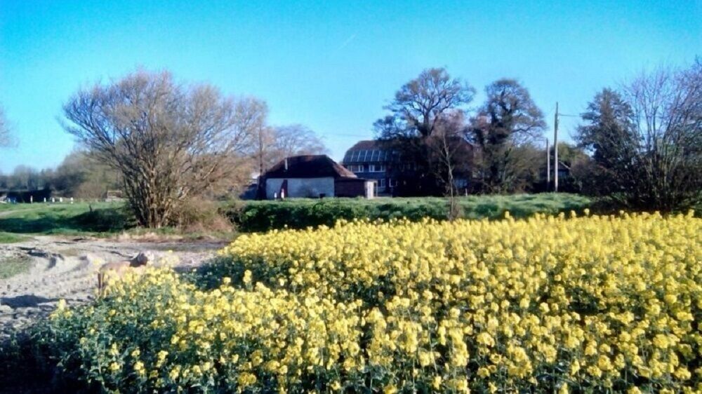 The Dairy At Copper Beeches 1
