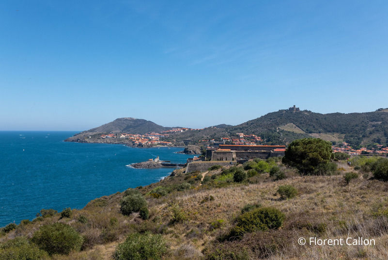 Vvf Villages Leucate 2