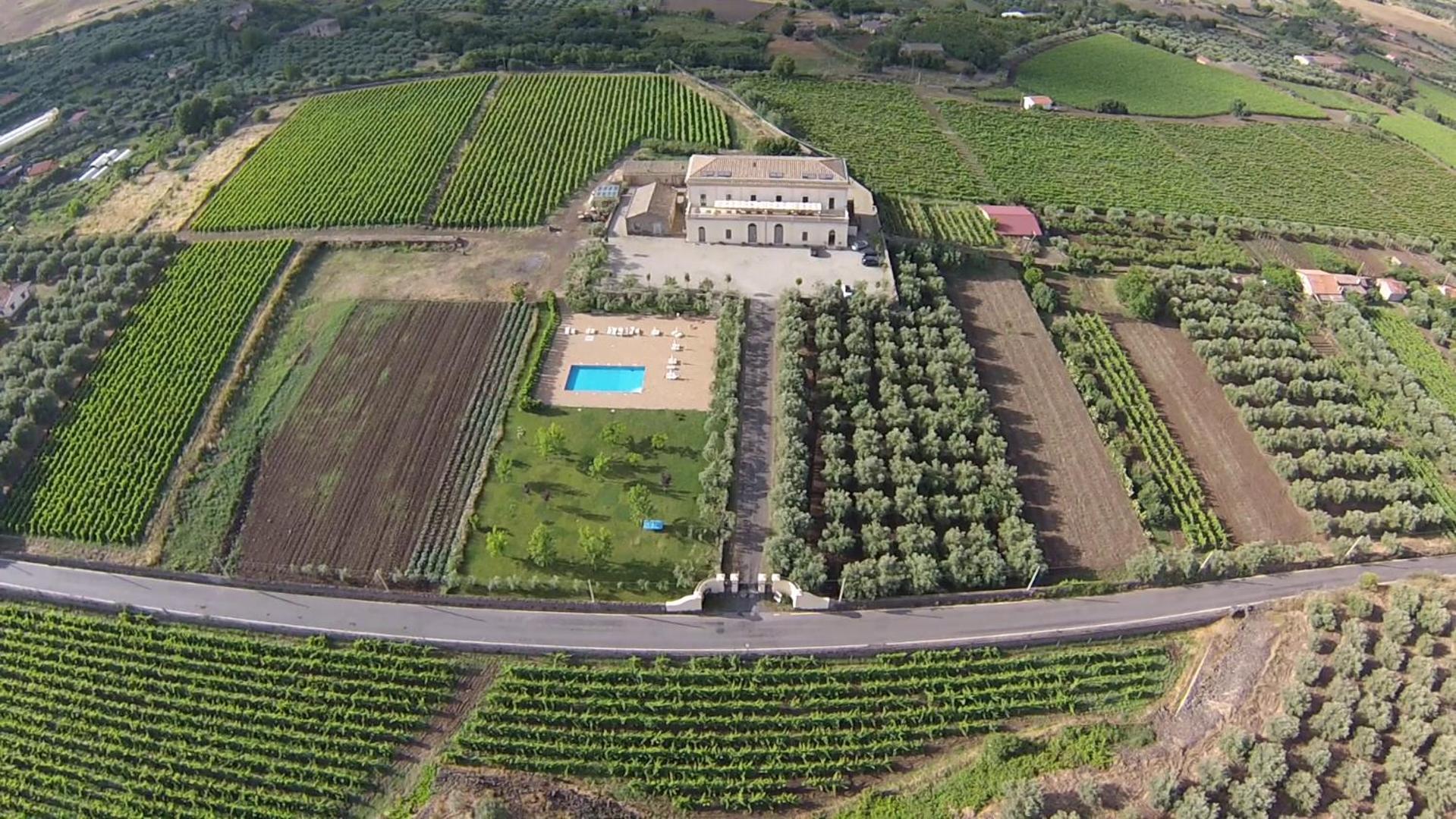 Feudo Vagliasindi -Wine Experience- 1