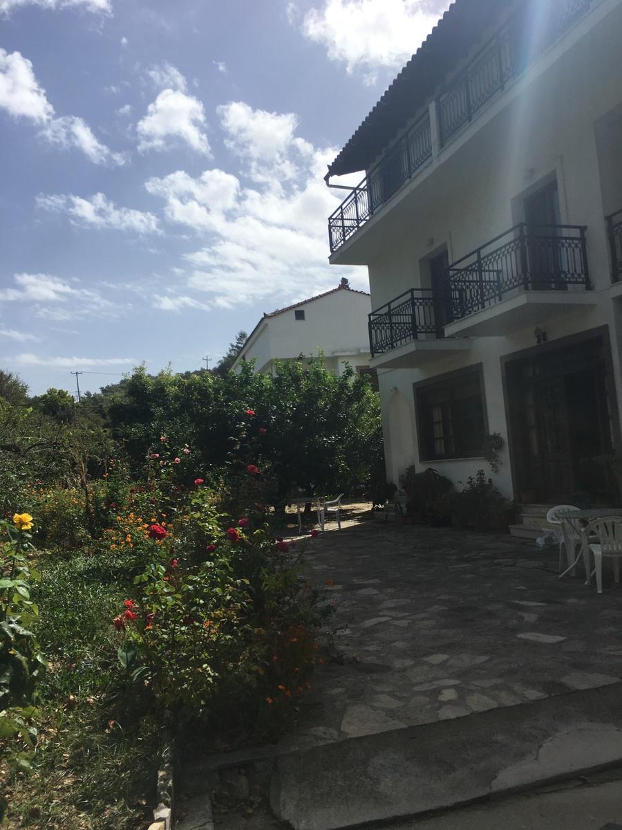 ALEKOS PENSION 2