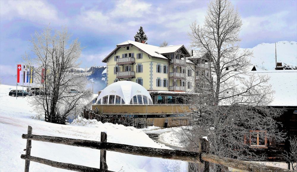 The Alpina Mountain Resort 1