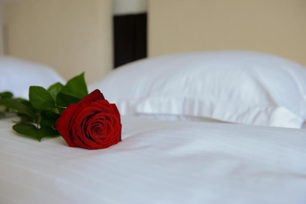 Hotel Bulevard Predeal 1