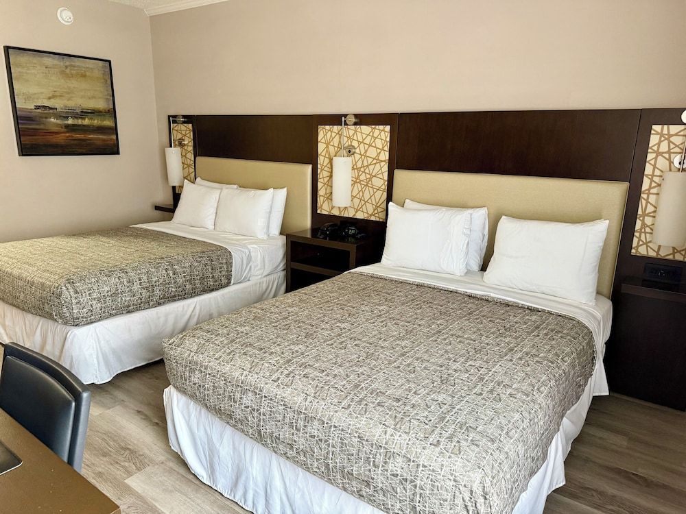 Coastal Comfort Hotel 1