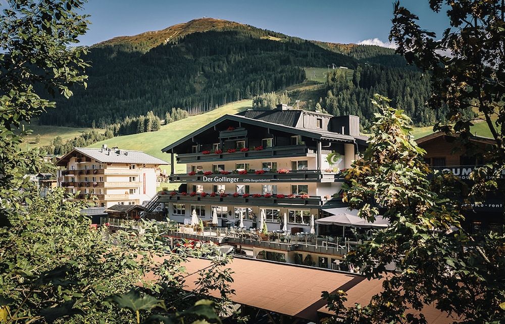 Der Gollinger 1