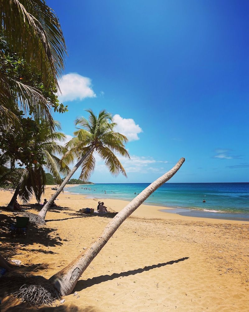 Auberge K-WAN Hostel - Proche Plages 1