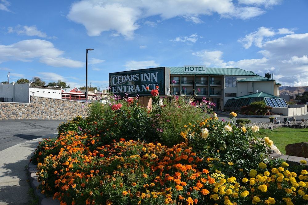 Cedars Inn 1