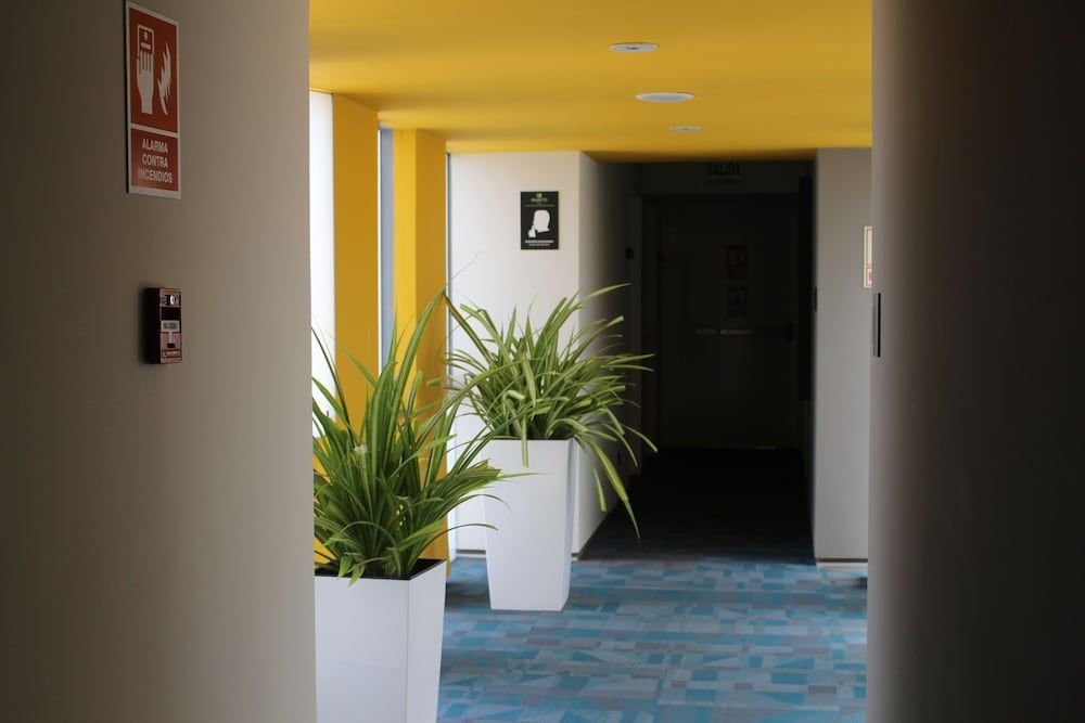 Palmetto Hotel Business San Borja 2