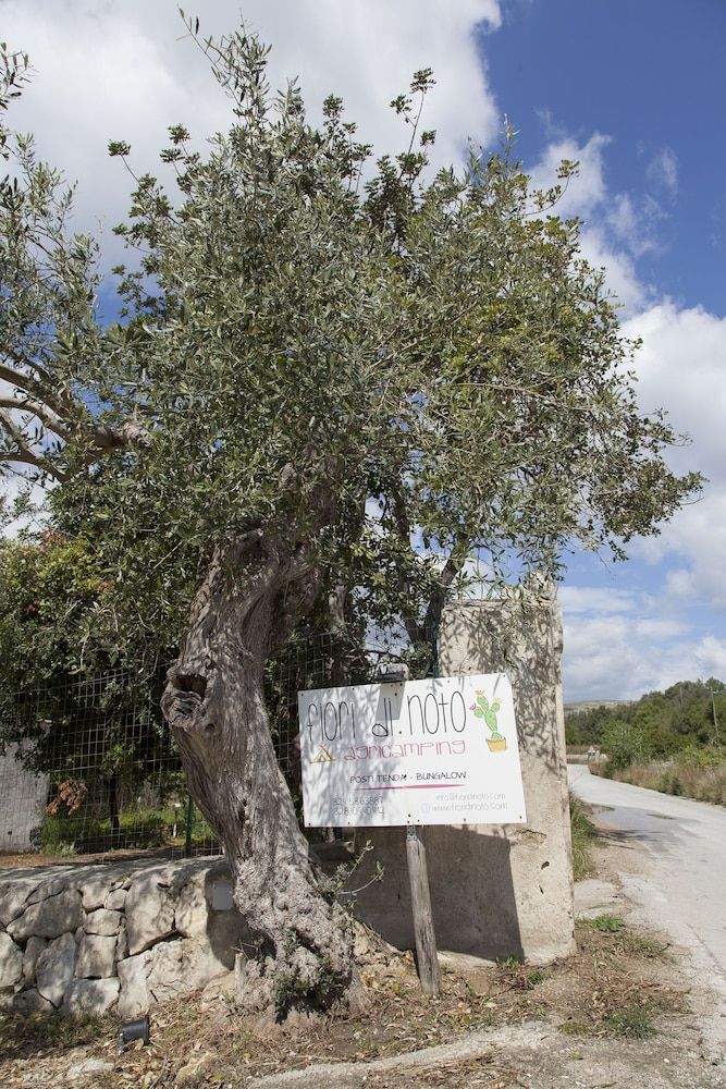 Camping Fiori di Noto 2