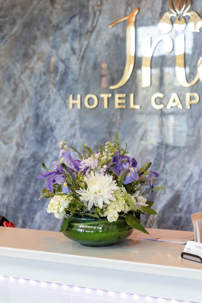 Iris Hotel Cape Cod 1