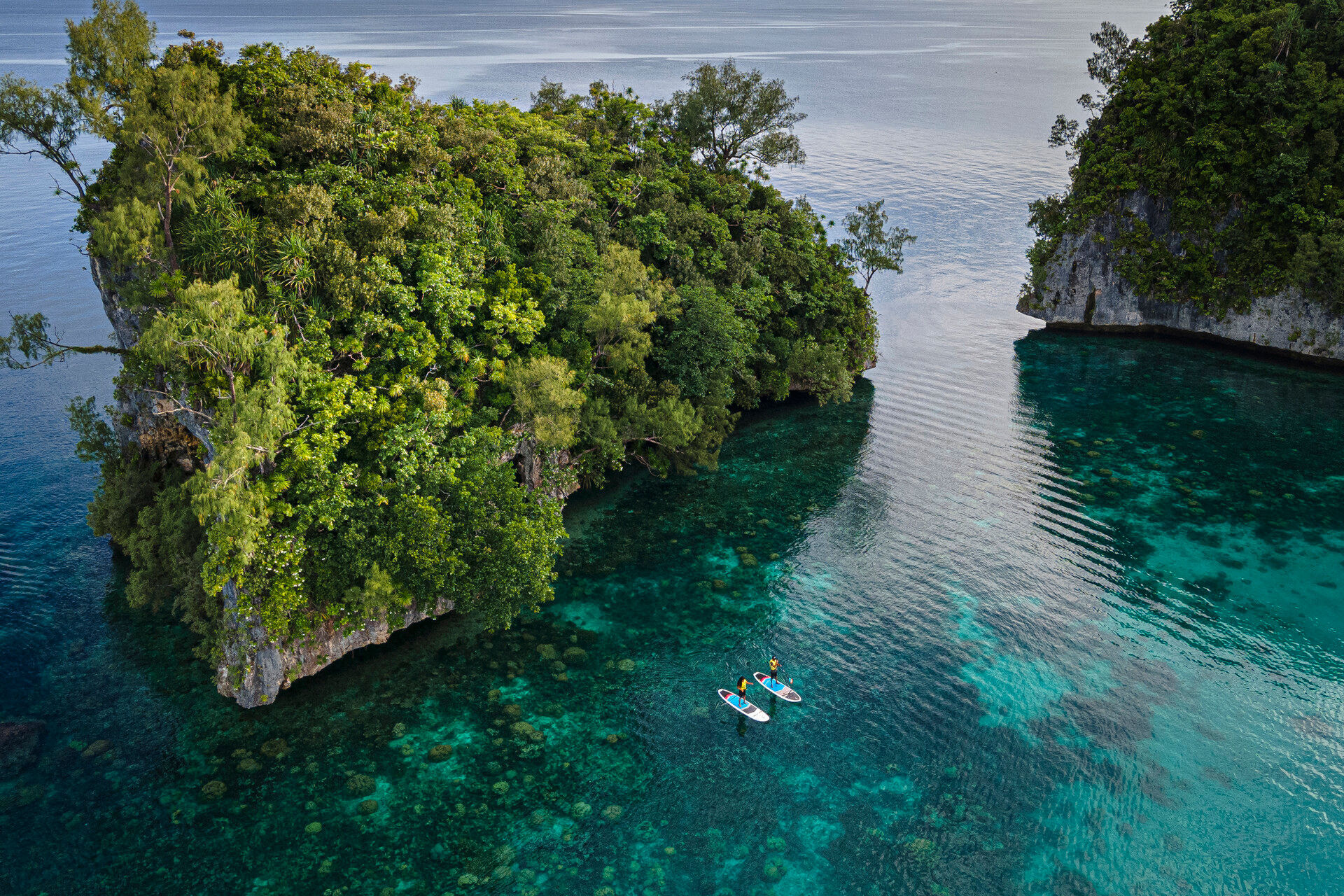 Four Seasons Explorer Palau 1