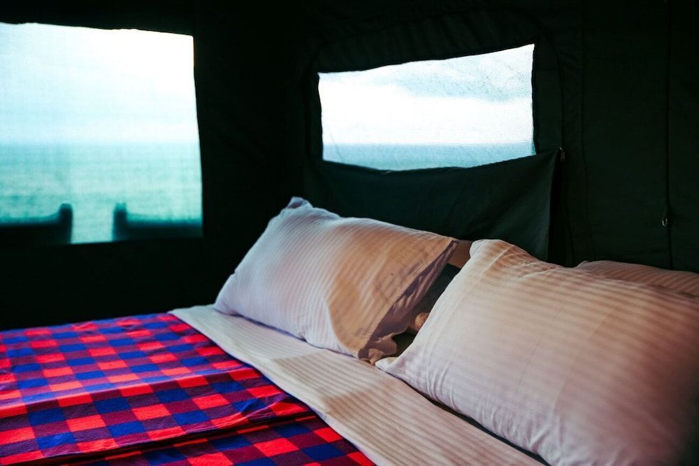 Cheetah Tented Camp 1