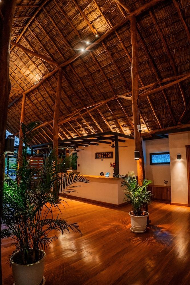 TreeCasa Hotel & Resort Nicaragua 2