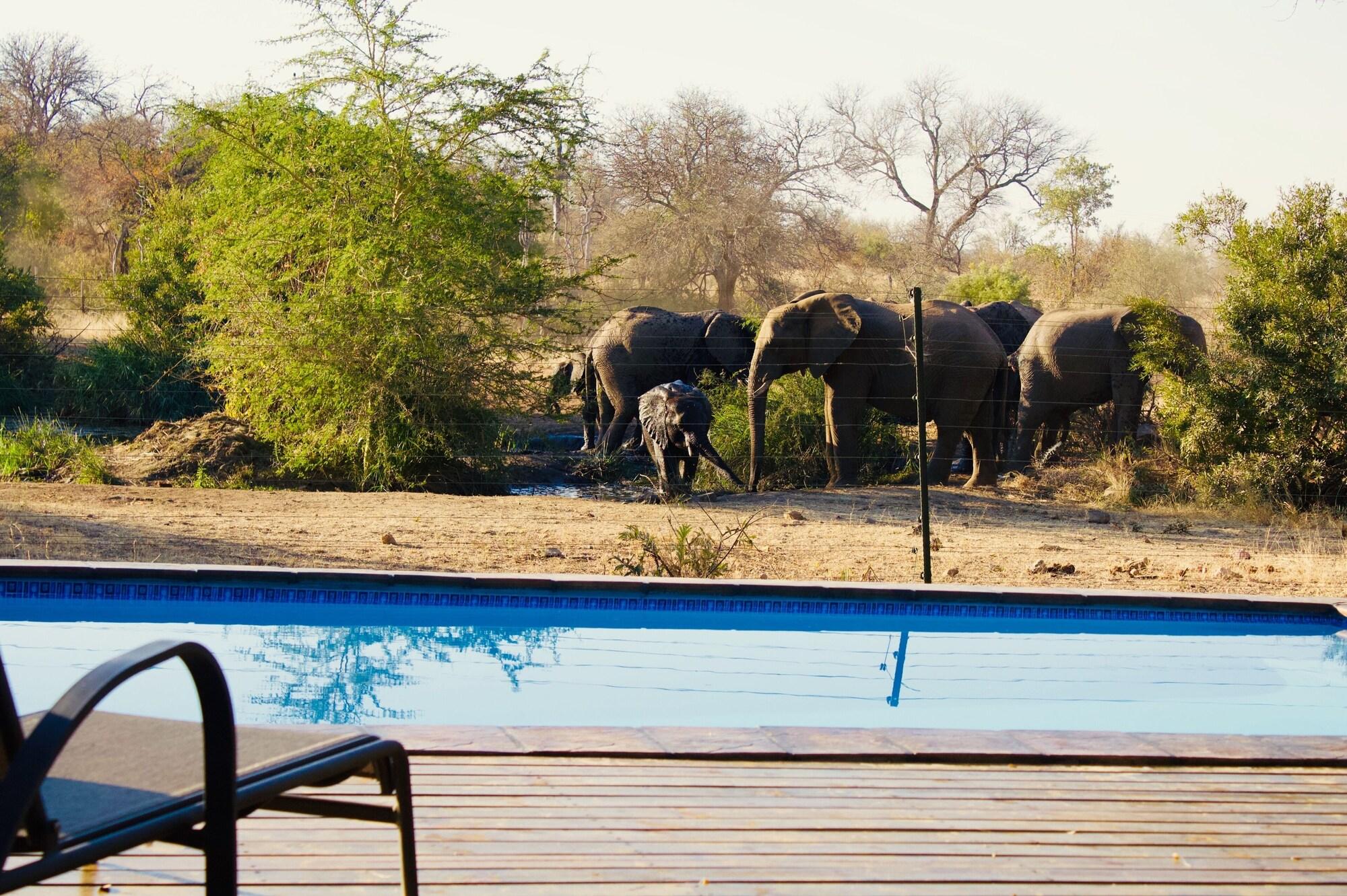 Zazu Private Bush Lodge, Formerly Masodini 2
