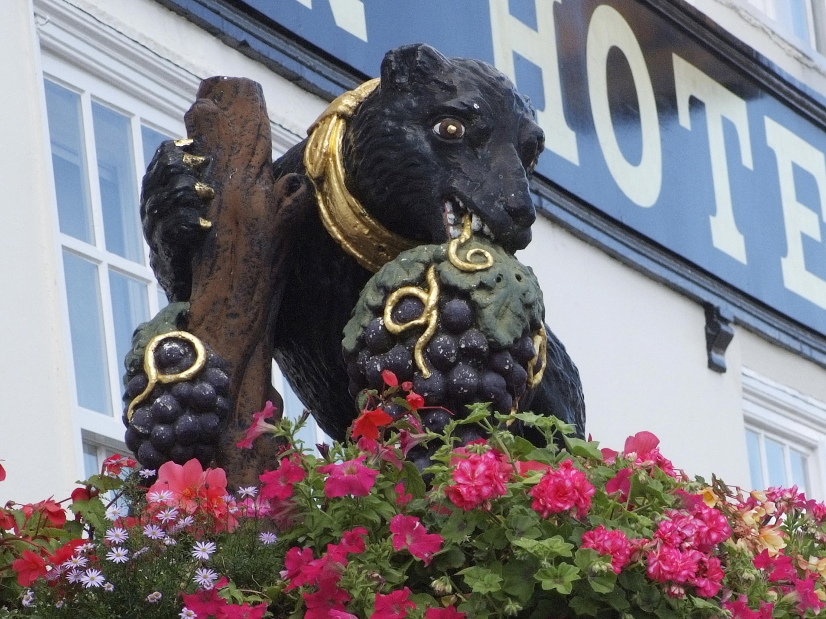The Bear Hotel 1