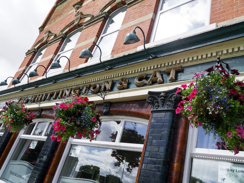 The Whittington and Cat 1